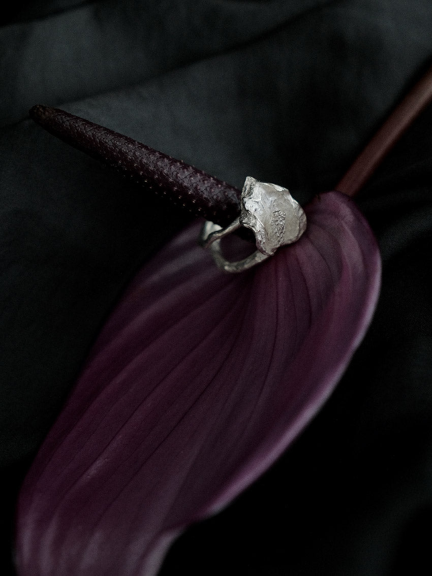 Vol.05 - Anthurium