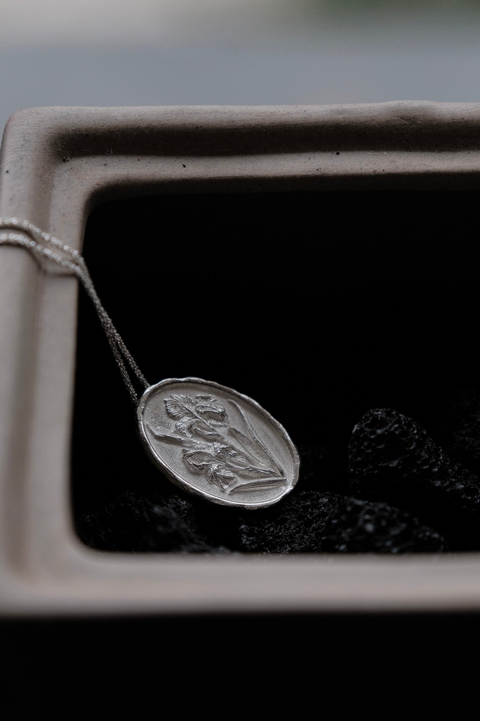 Iris Silver Coin Necklace