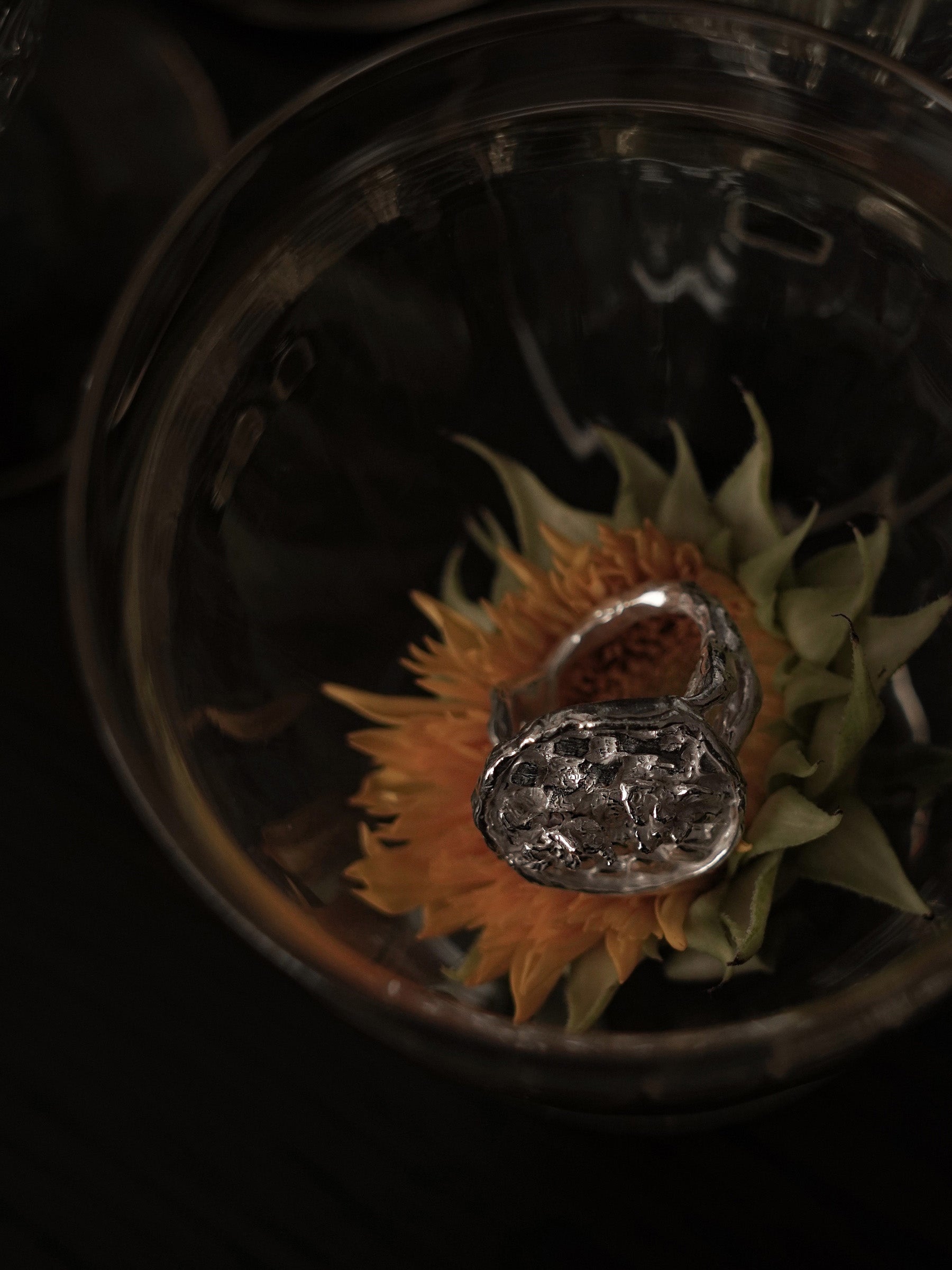 Iris Disk Ring