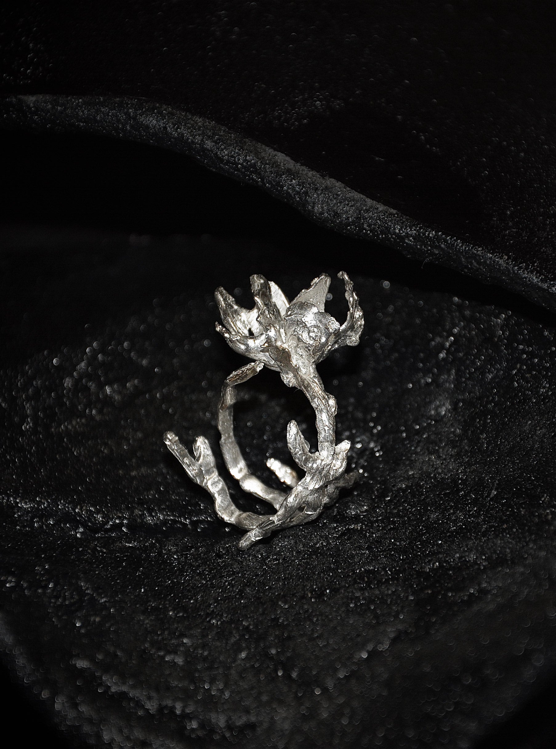 Withered Wooden Ring