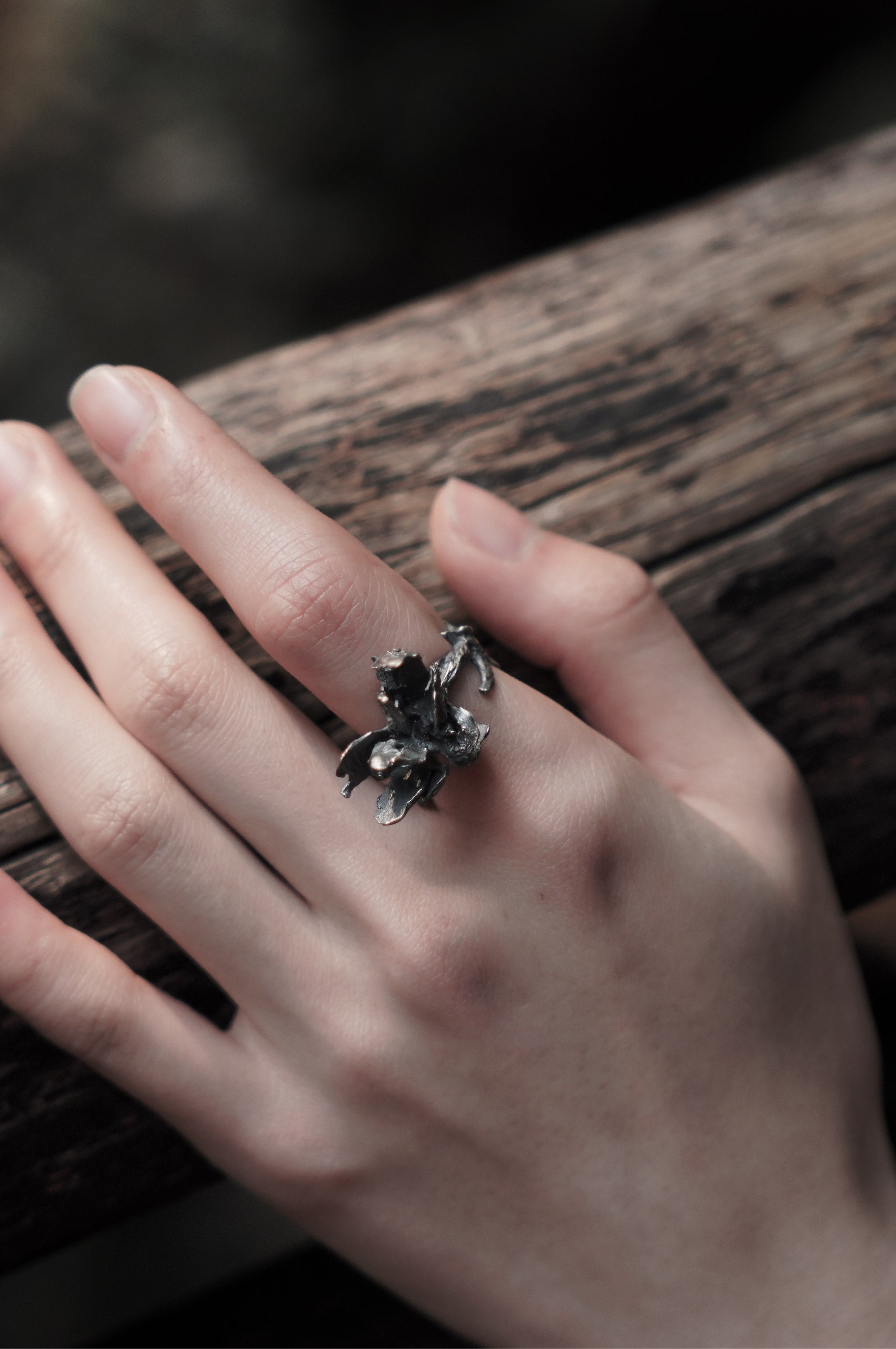 Withered Wooden Ring