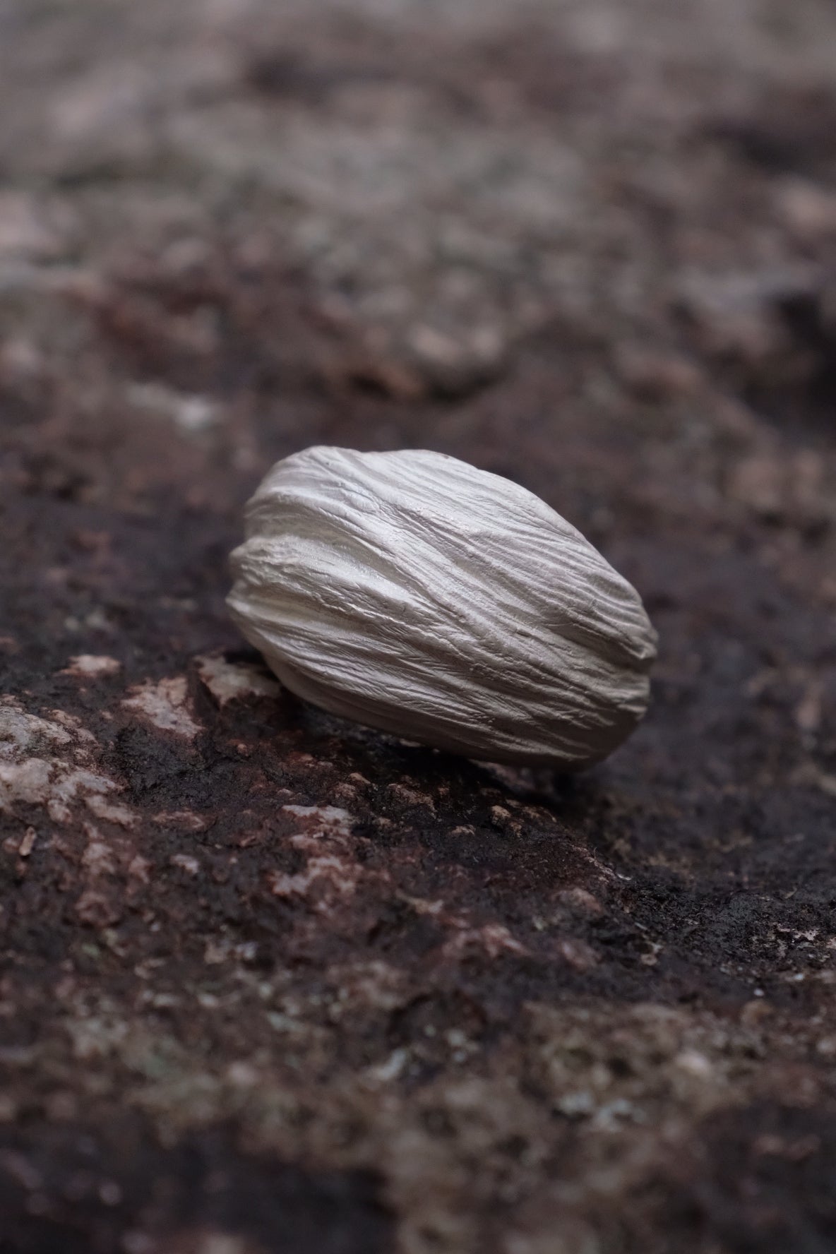 Flow Pattern Ring