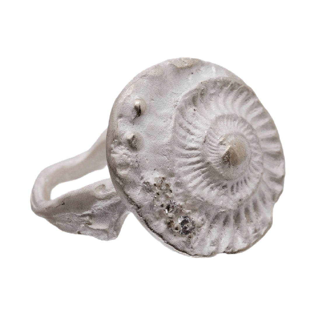 Shell Seeker Ring