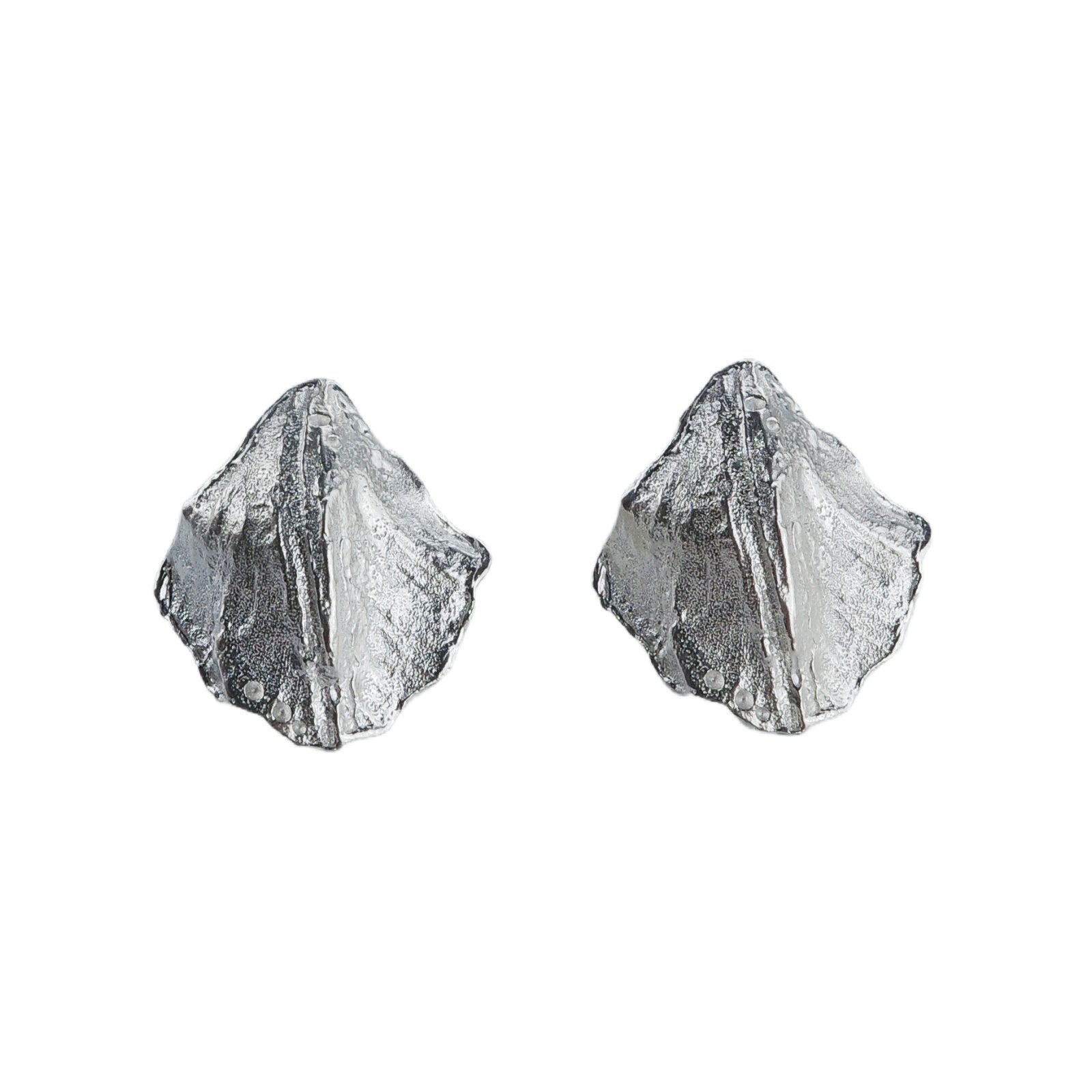Hidden Shell Earrings