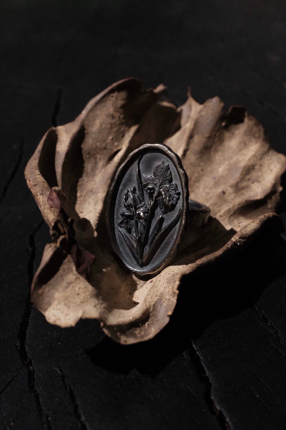 Iris Silver Coin Ring