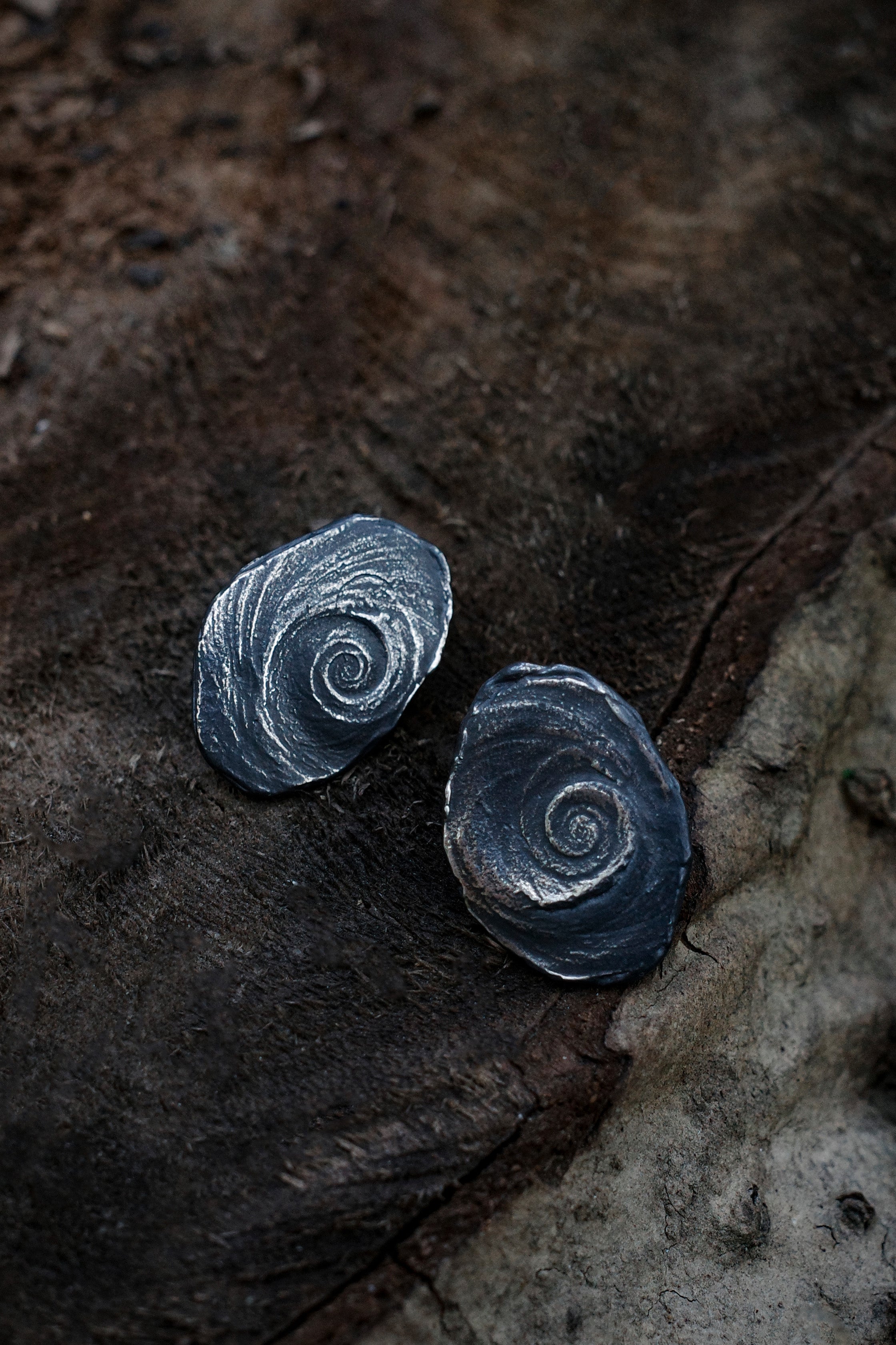 Pure Shell Earrings