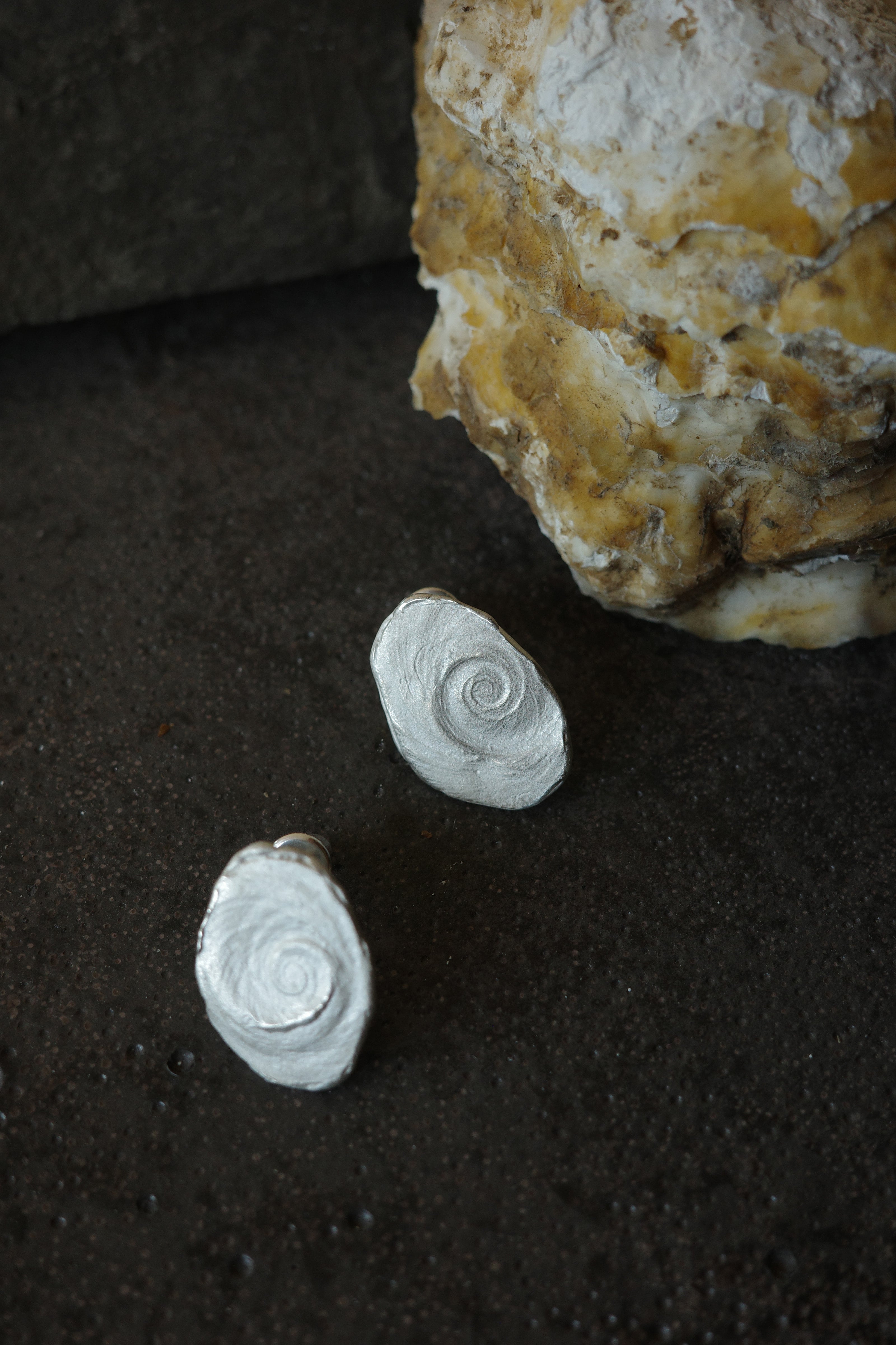 Pure Shell Earrings