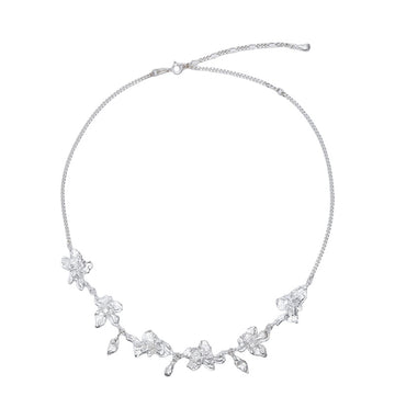 Trace Bloom Cluster Chain