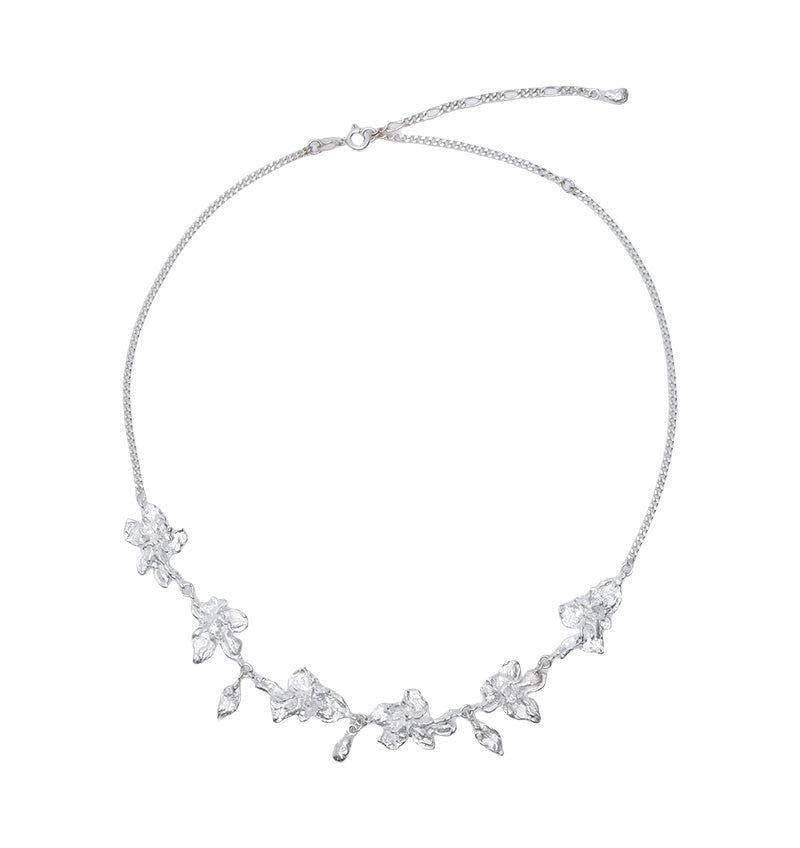 Trace Bloom Cluster Chain