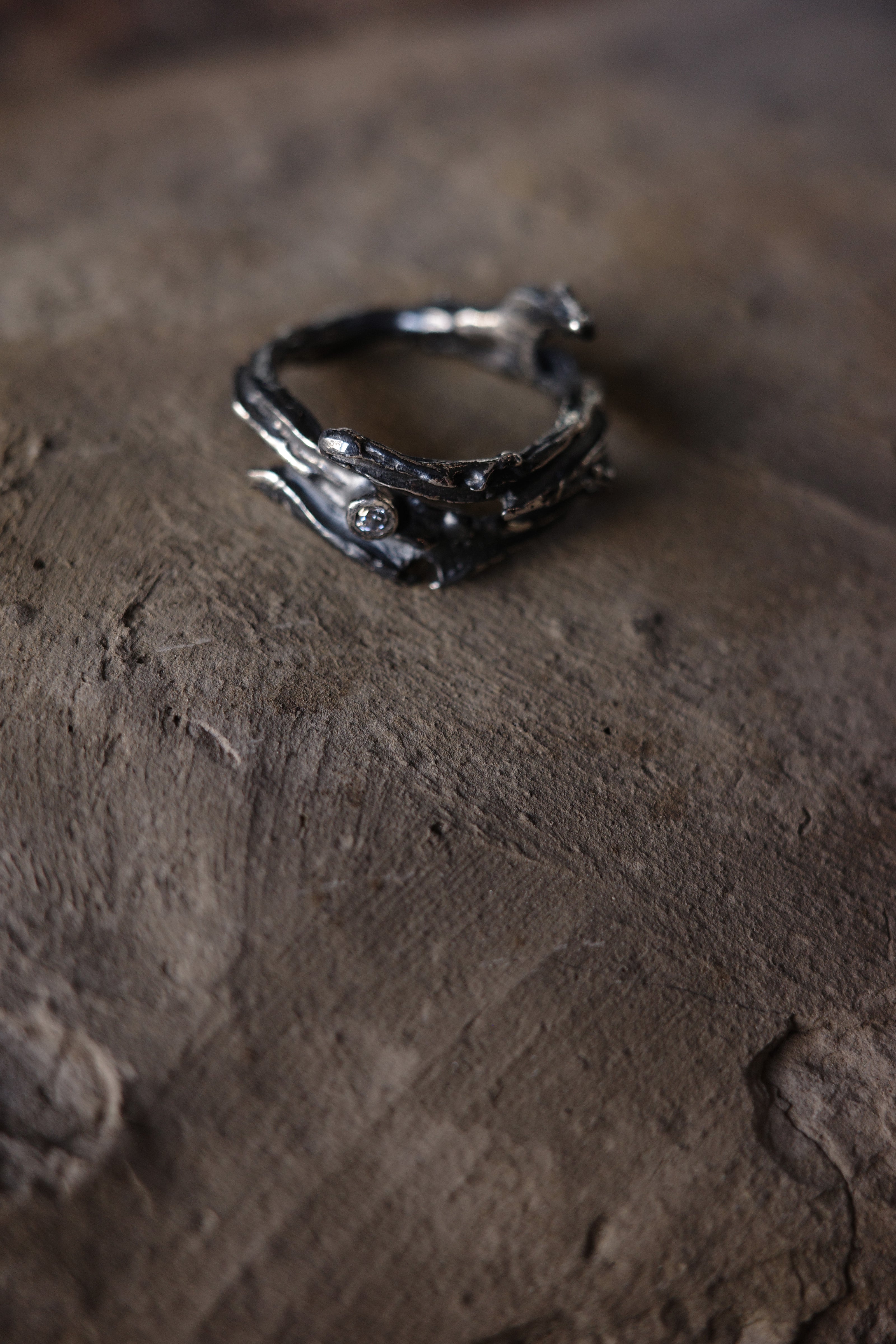 Hidden Branch Ring