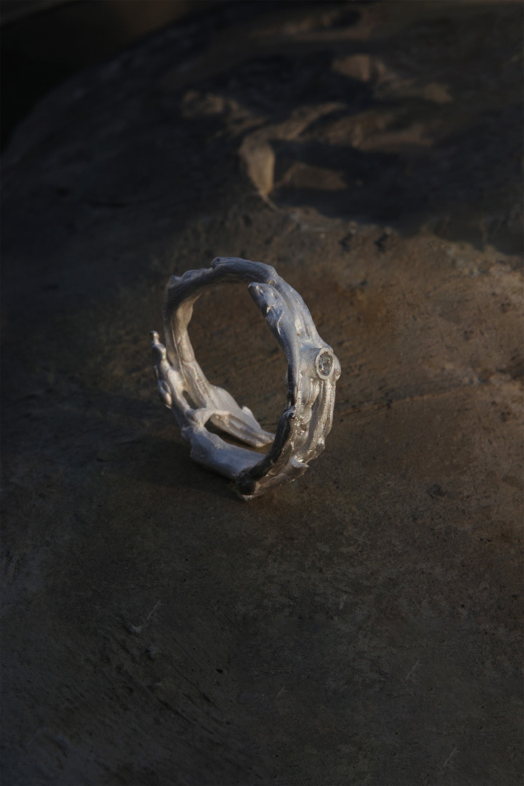 Hidden Branch Ring