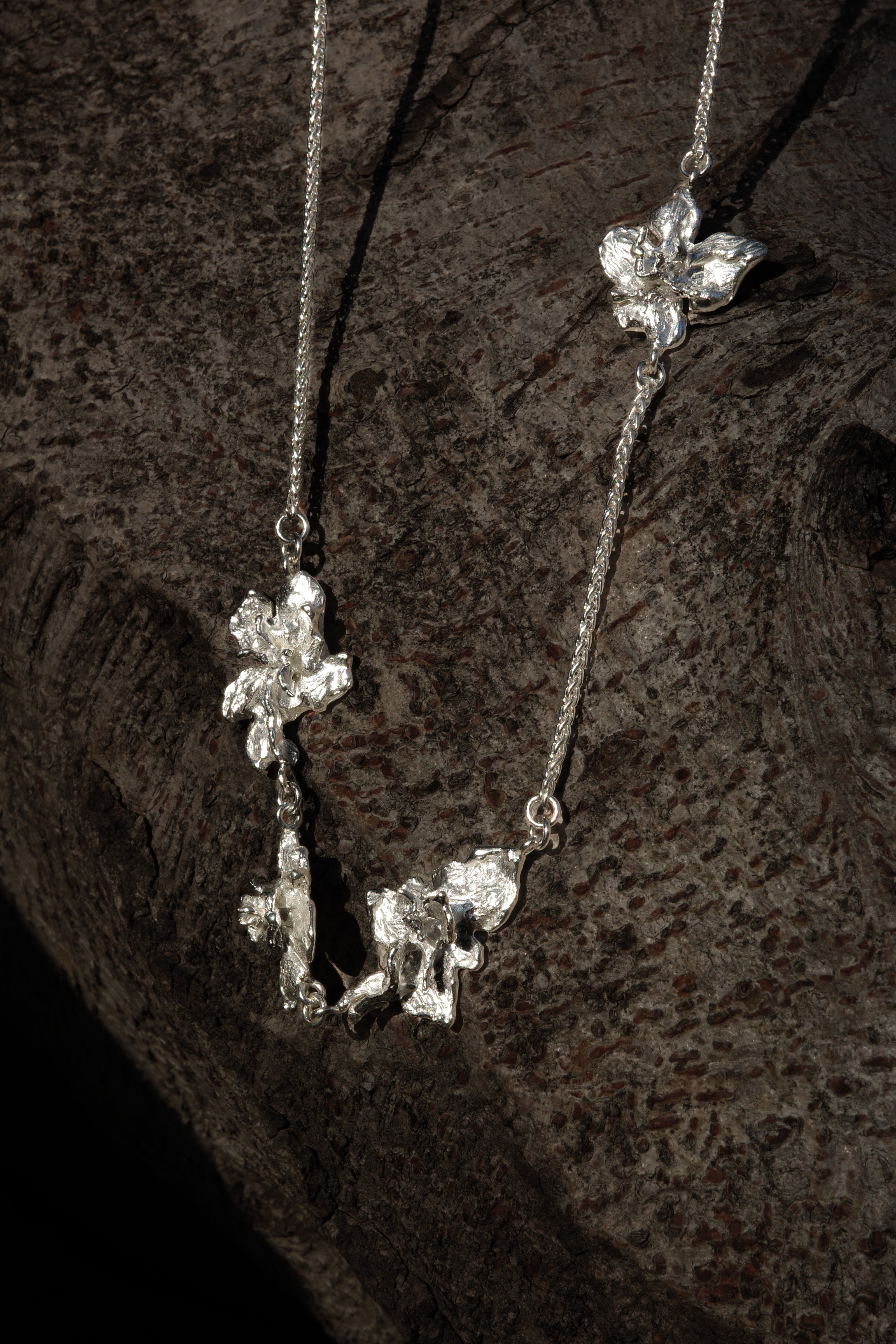 Trace Bloom Chain