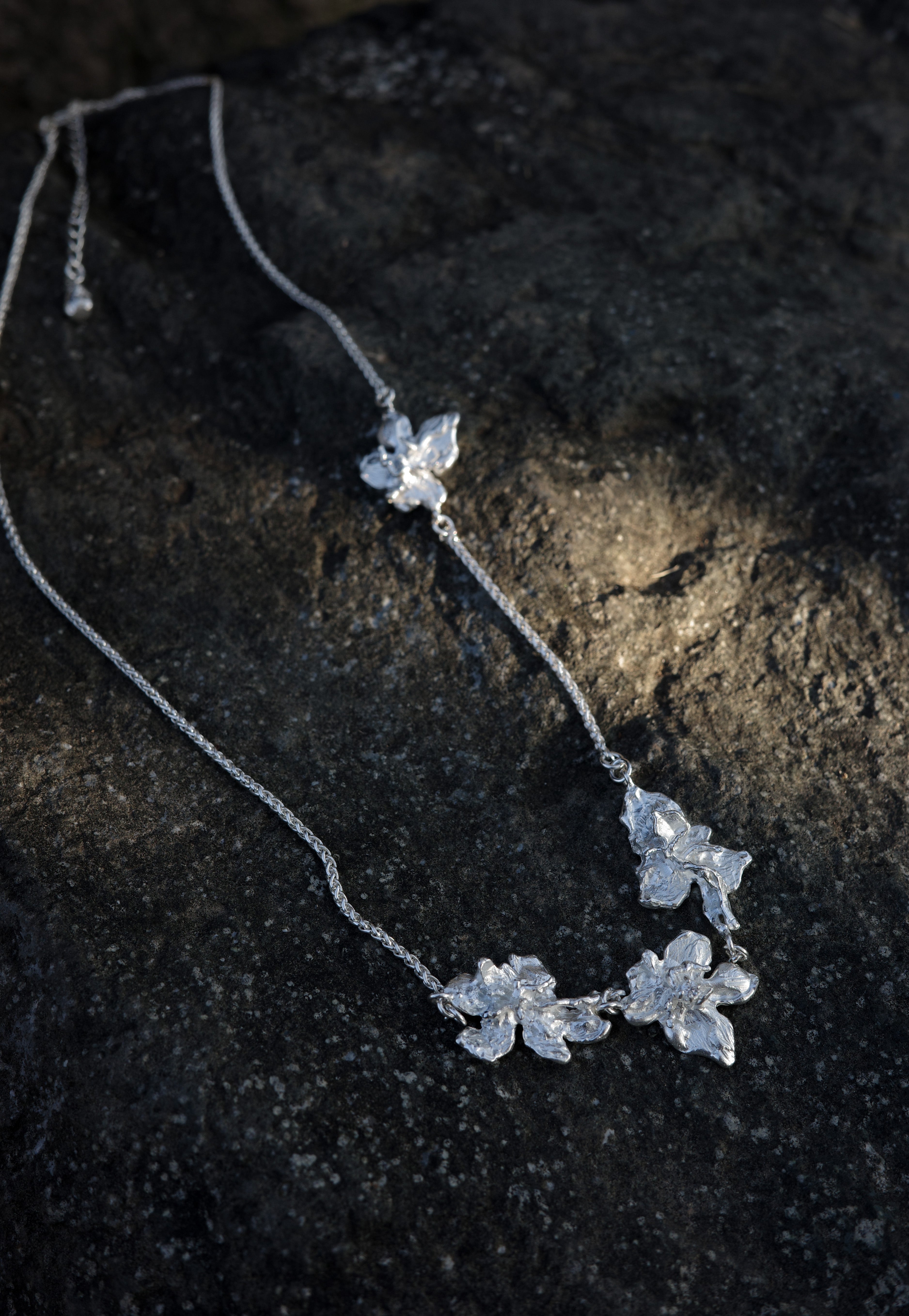 Trace Bloom Chain