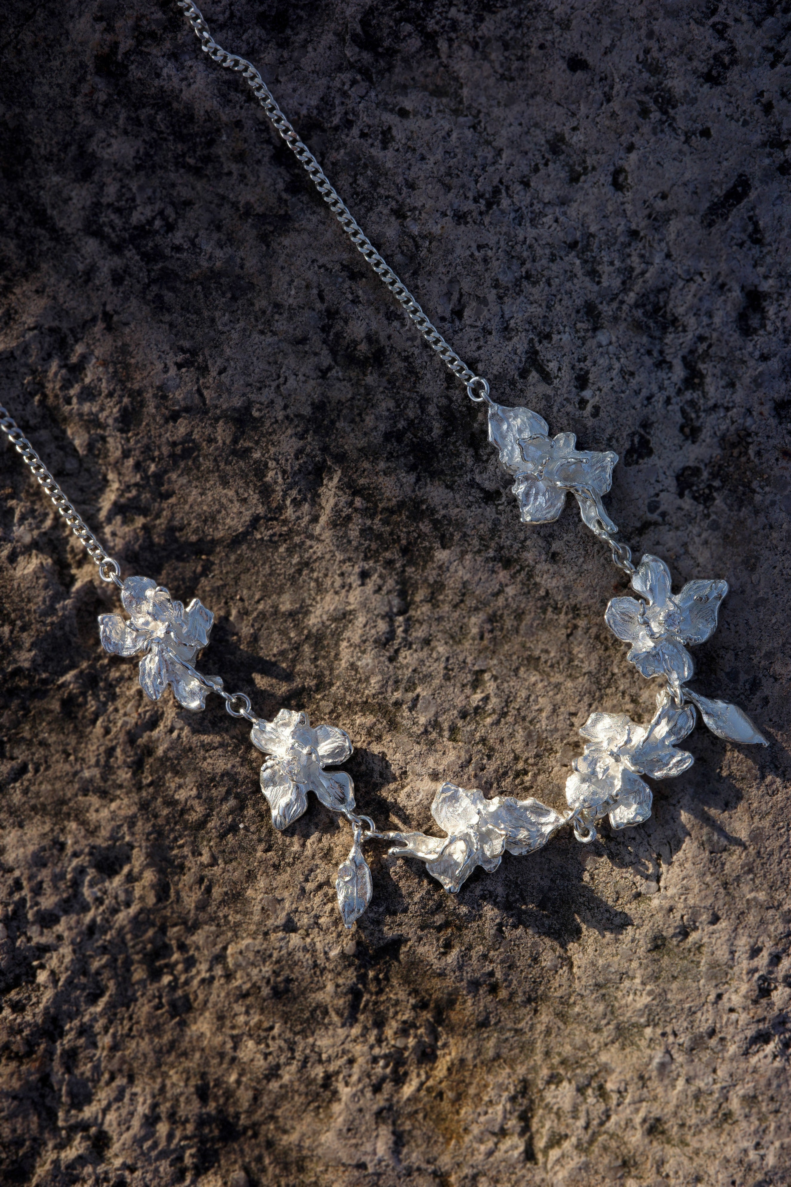 Trace Bloom Cluster Chain