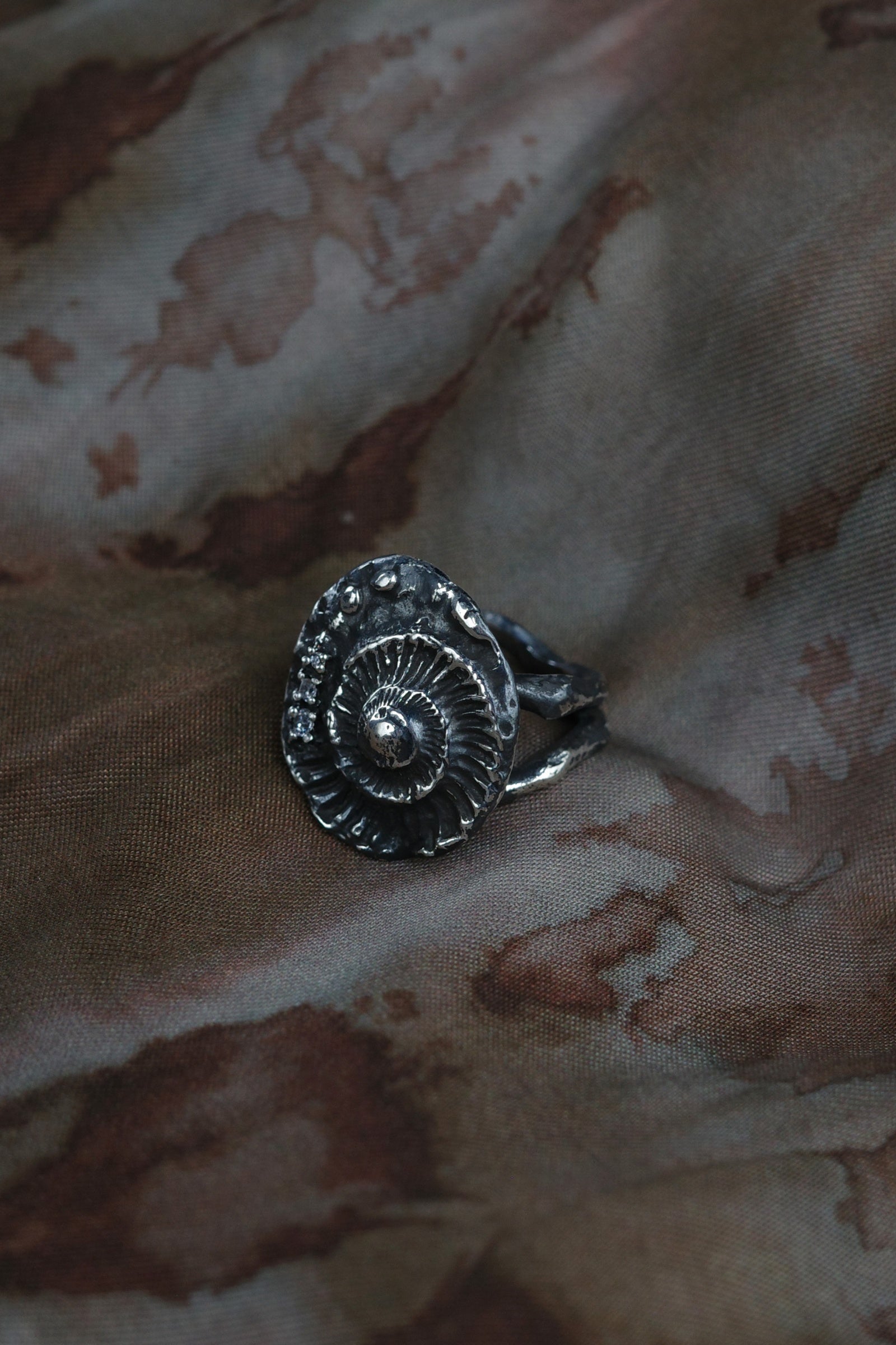 Shell Seeker Ring