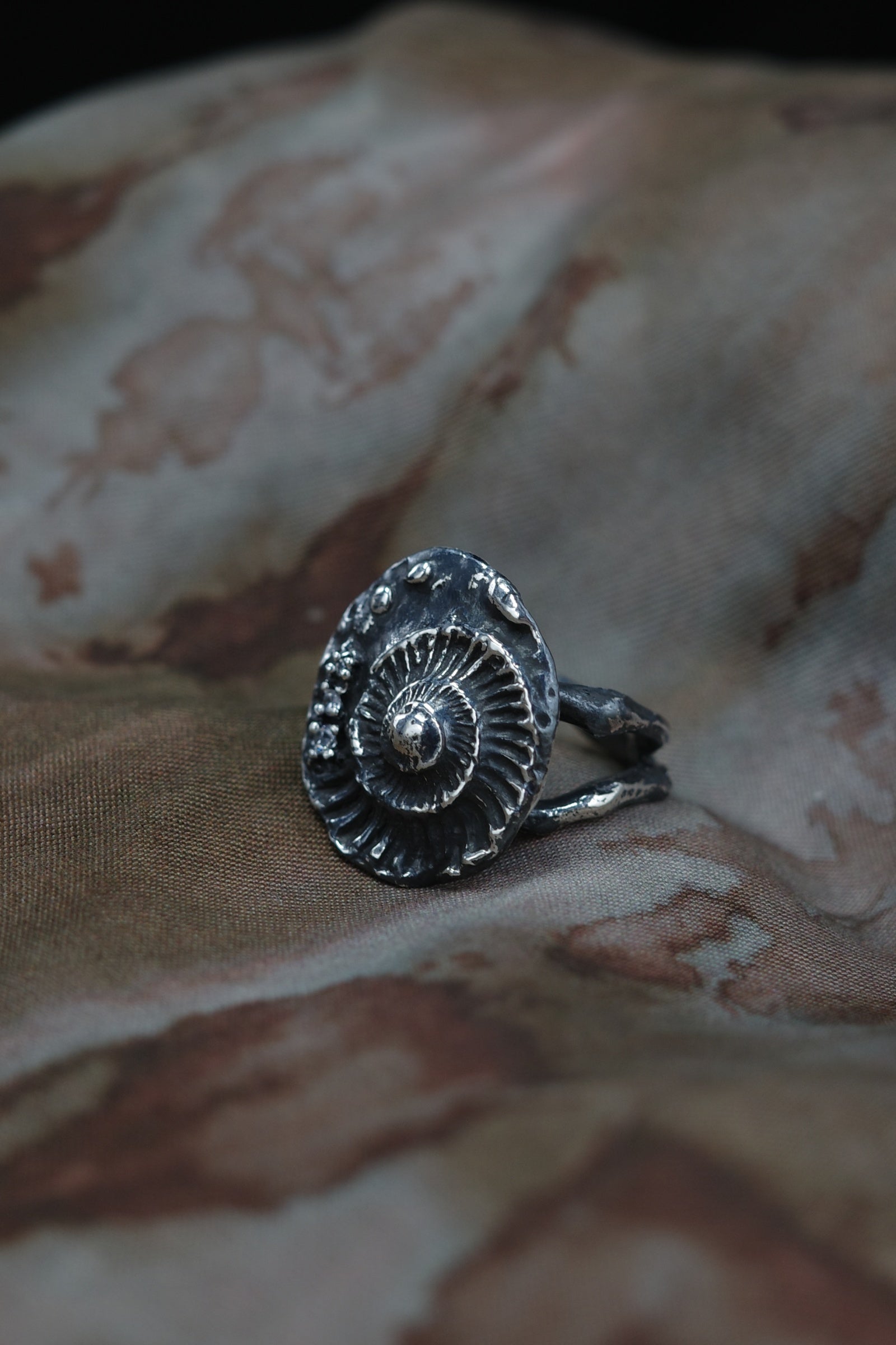 Shell Seeker Ring
