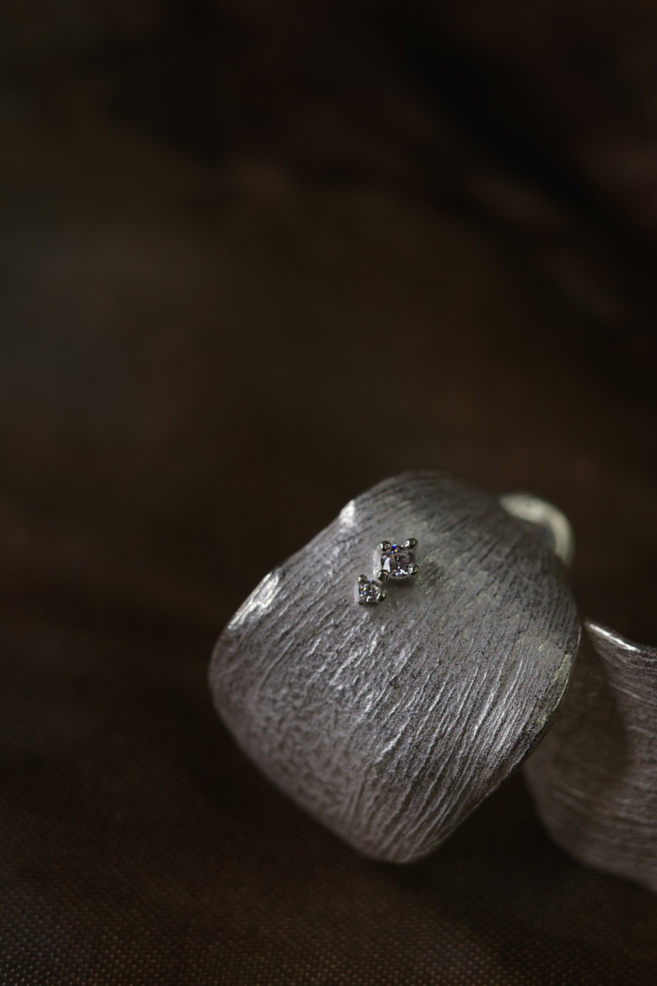 Curled Leaf Earrings
