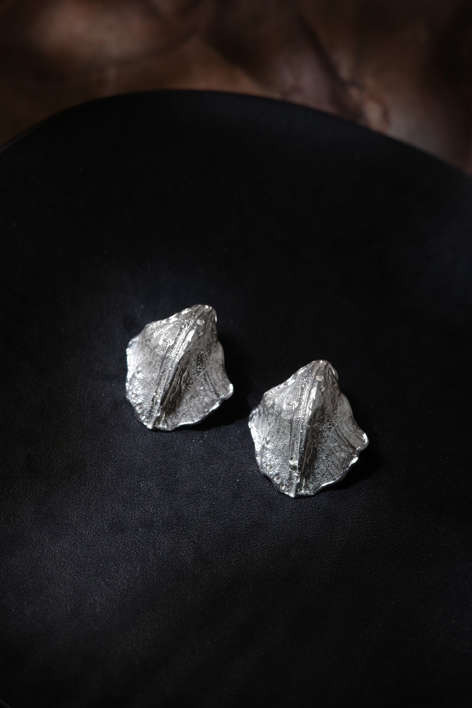 Hidden Shell Earrings