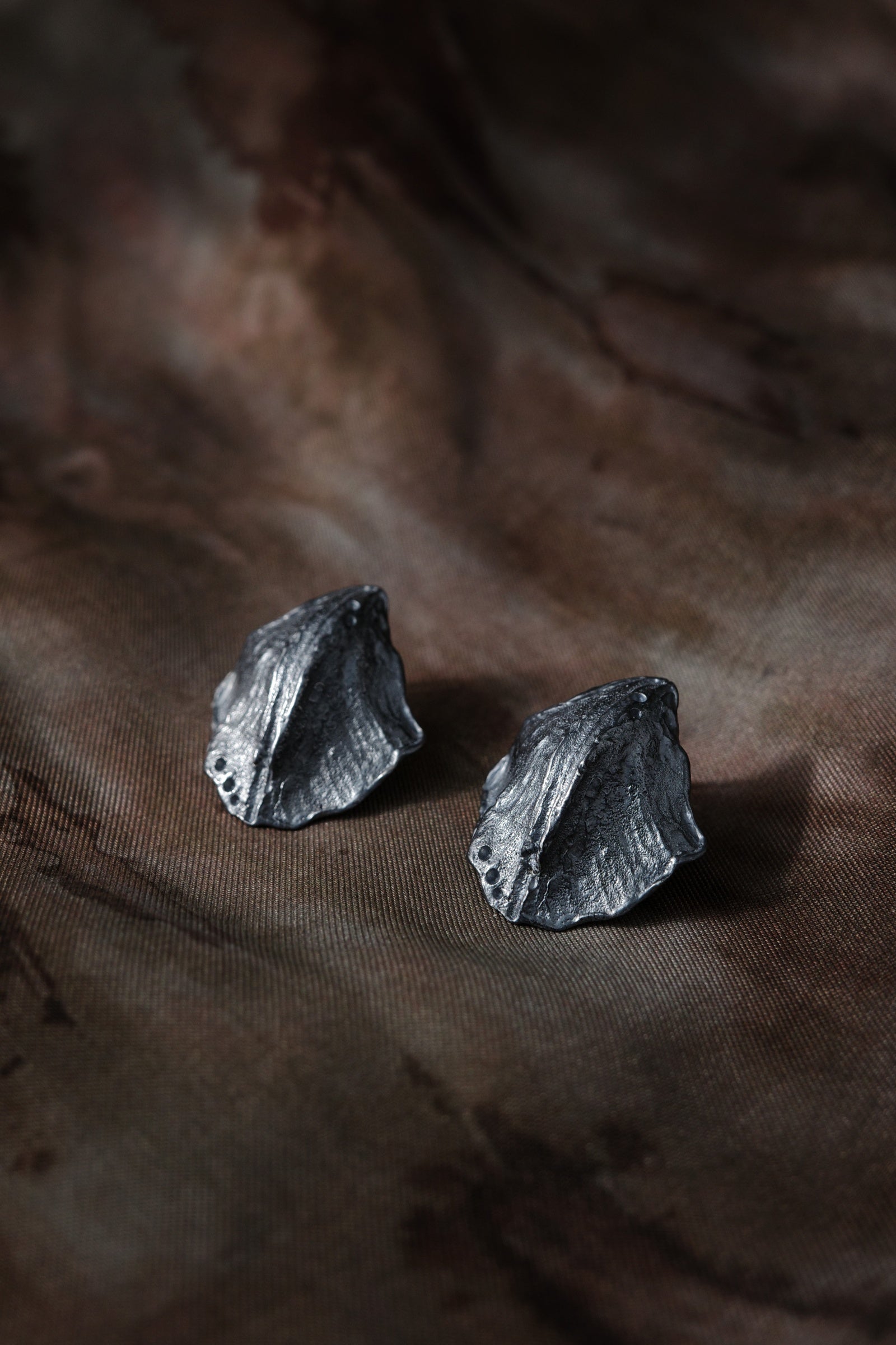 Hidden Shell Earrings