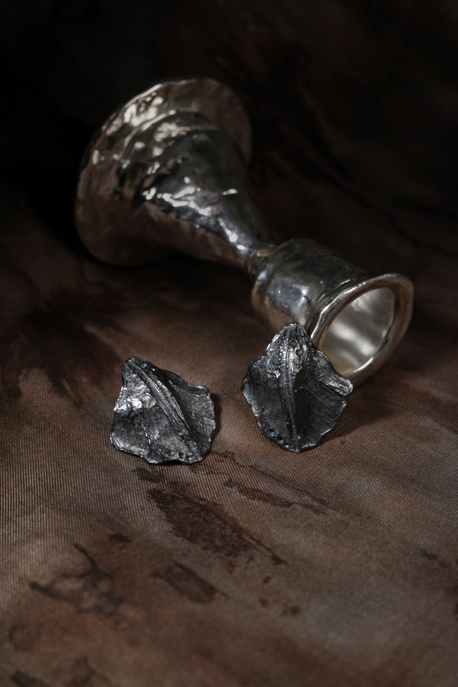 Hidden Shell Earrings