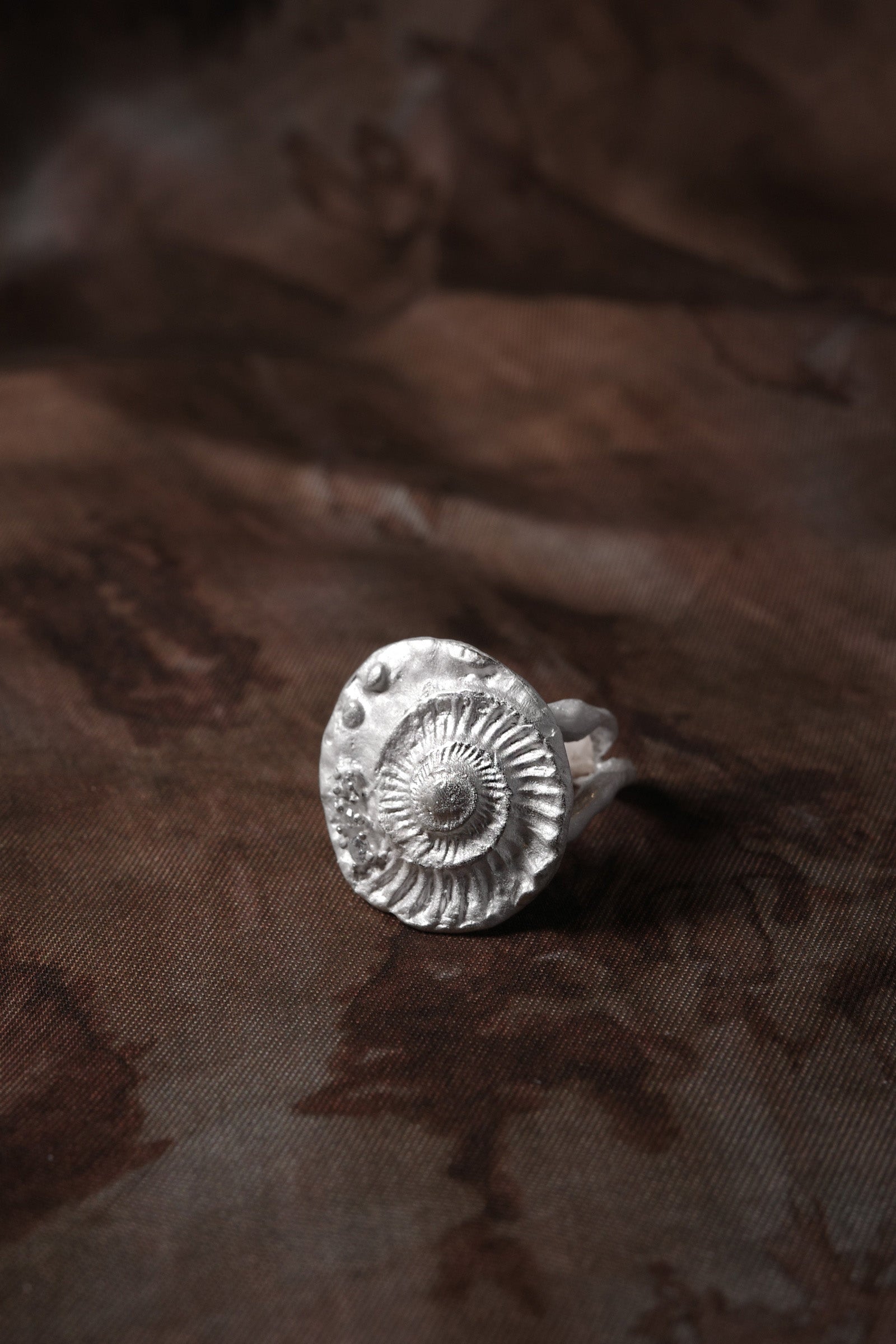 Shell Seeker Ring
