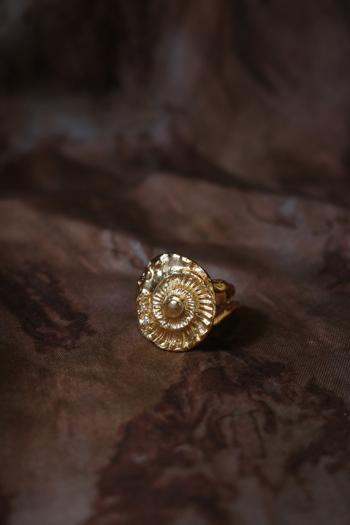Shell Seeker Ring