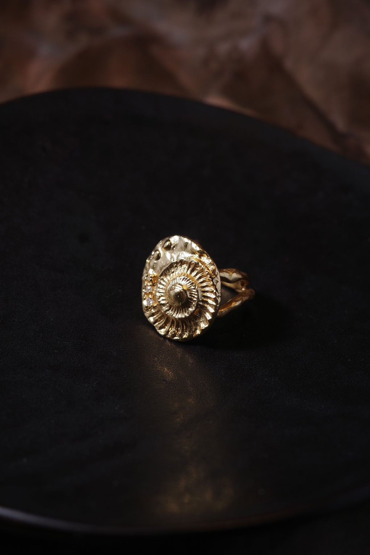 Shell Seeker Ring