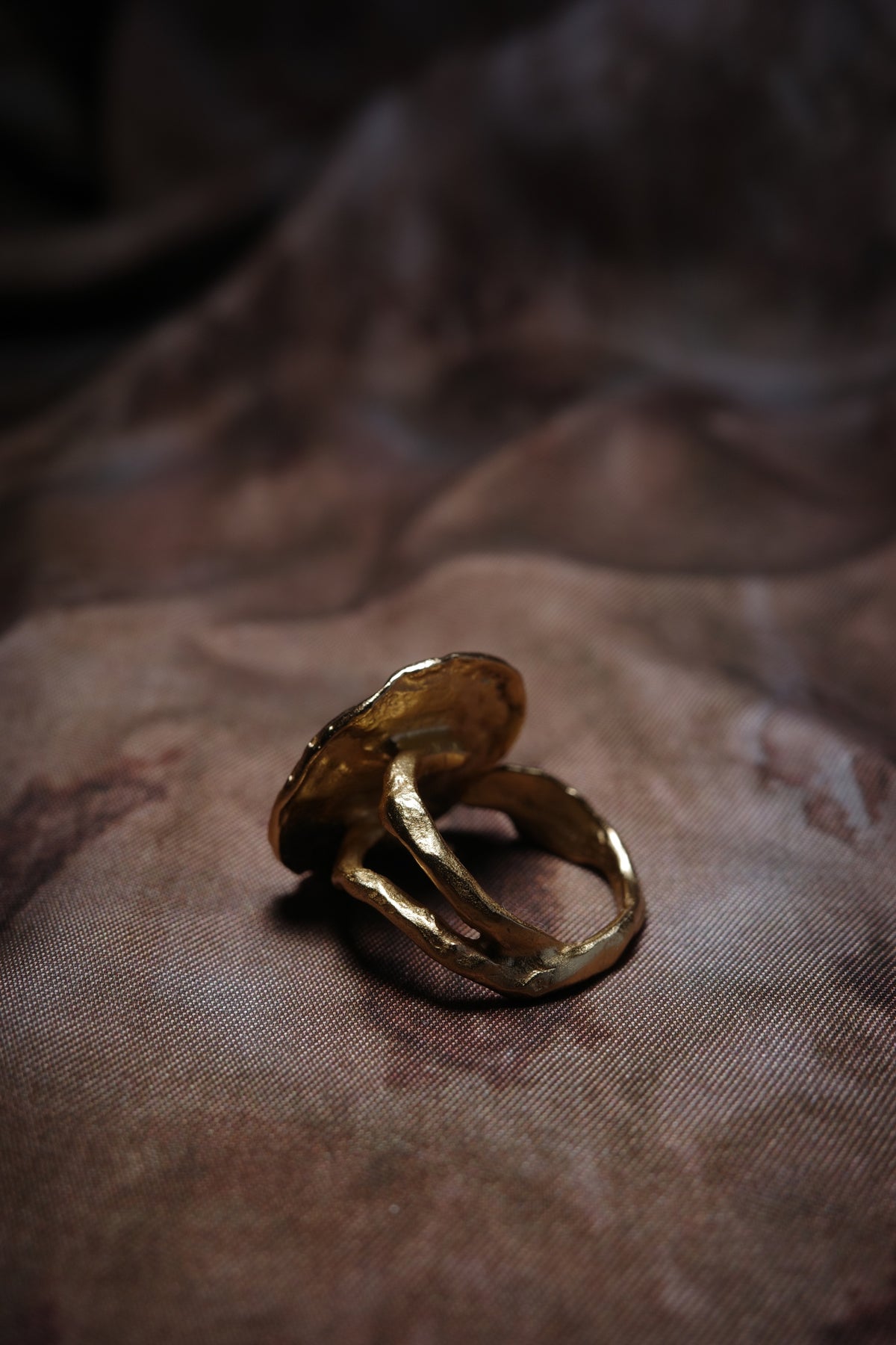 Shell Seeker Ring