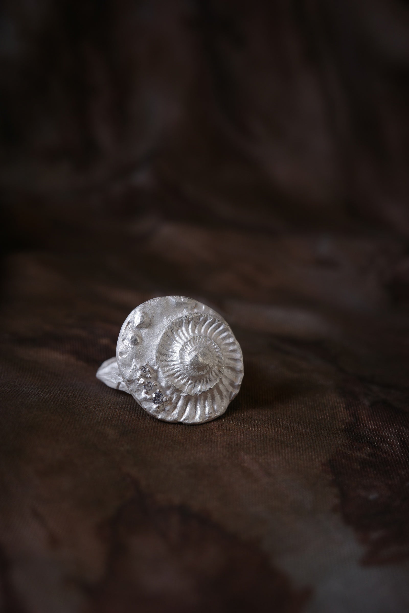 Shell Seeker Ring