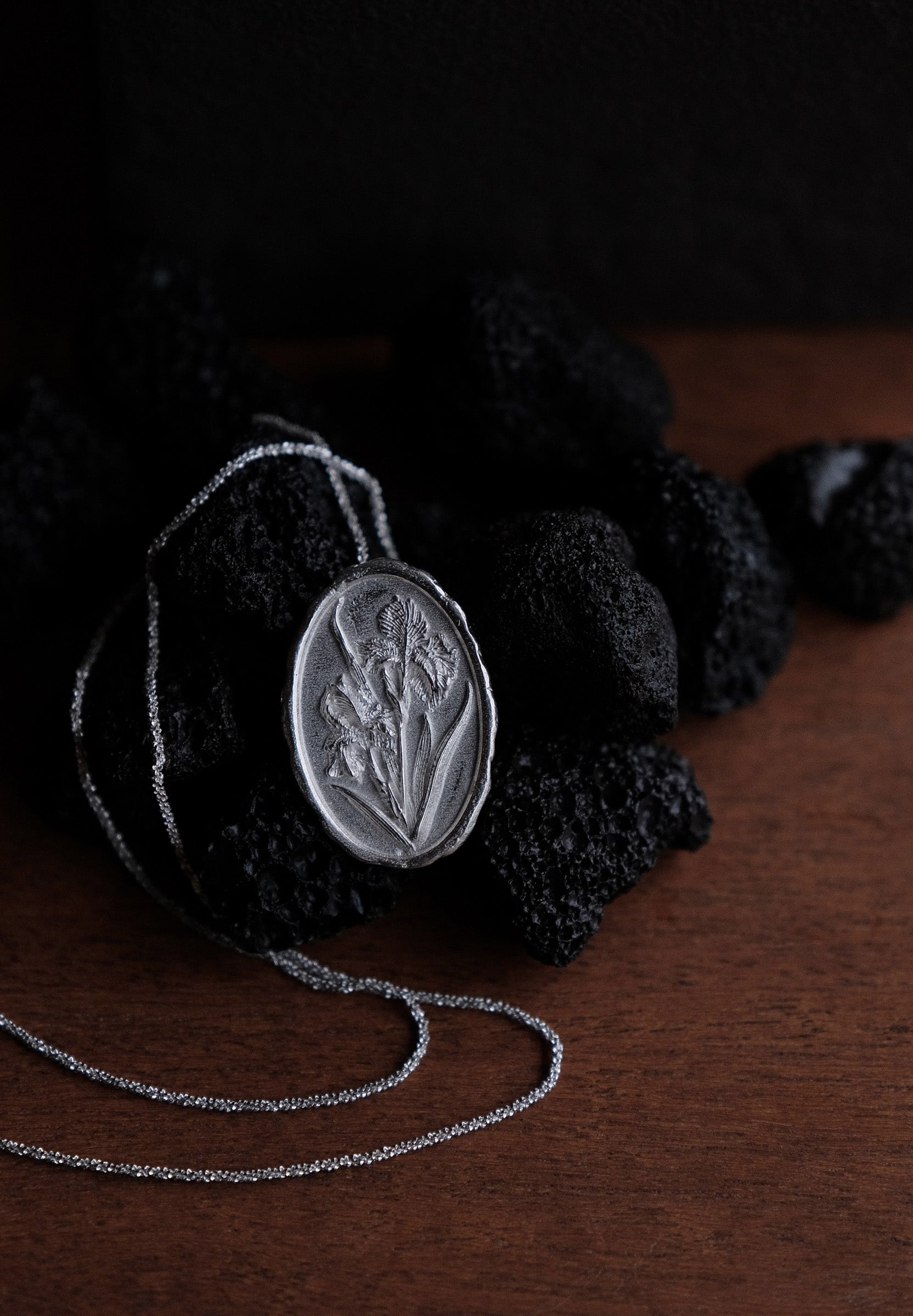 Iris Silver Coin Necklace