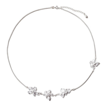 Trace Bloom Chain