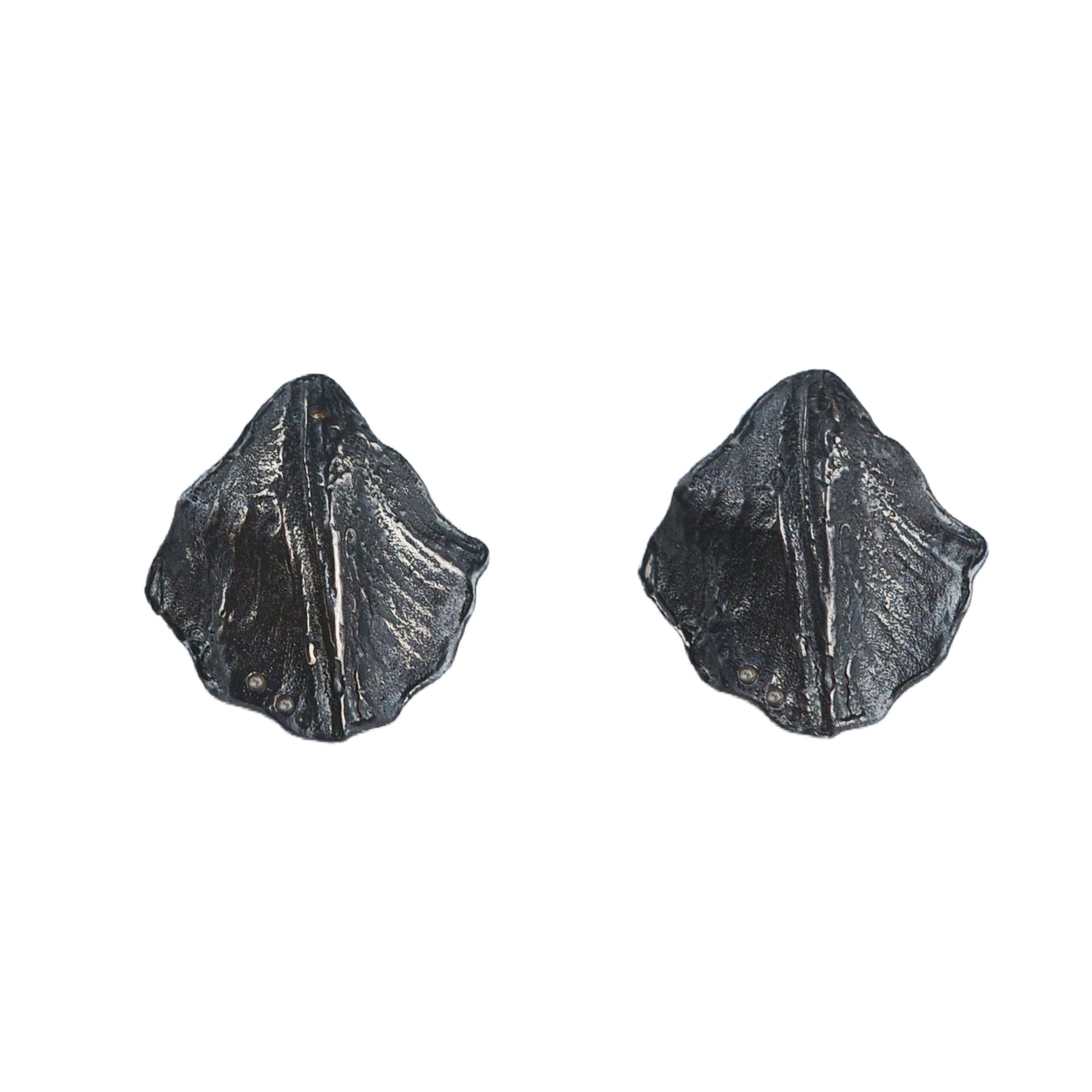 Hidden Shell Earrings