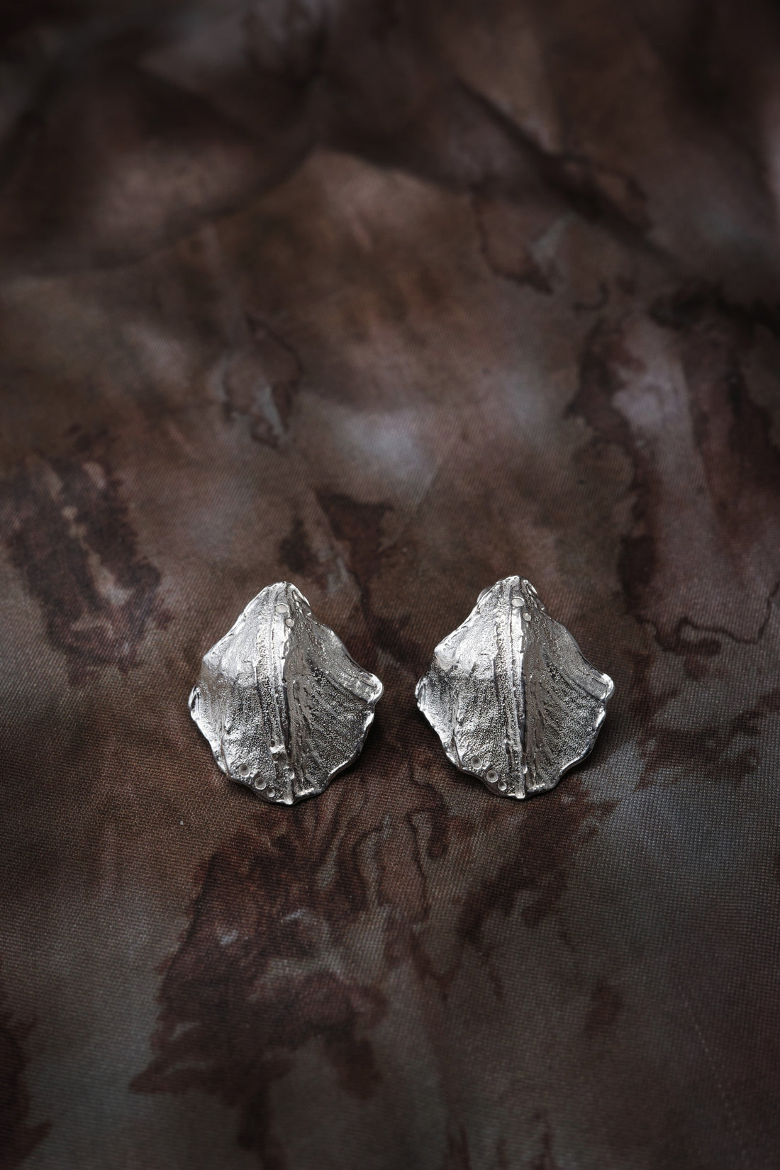 Hidden Shell Earrings