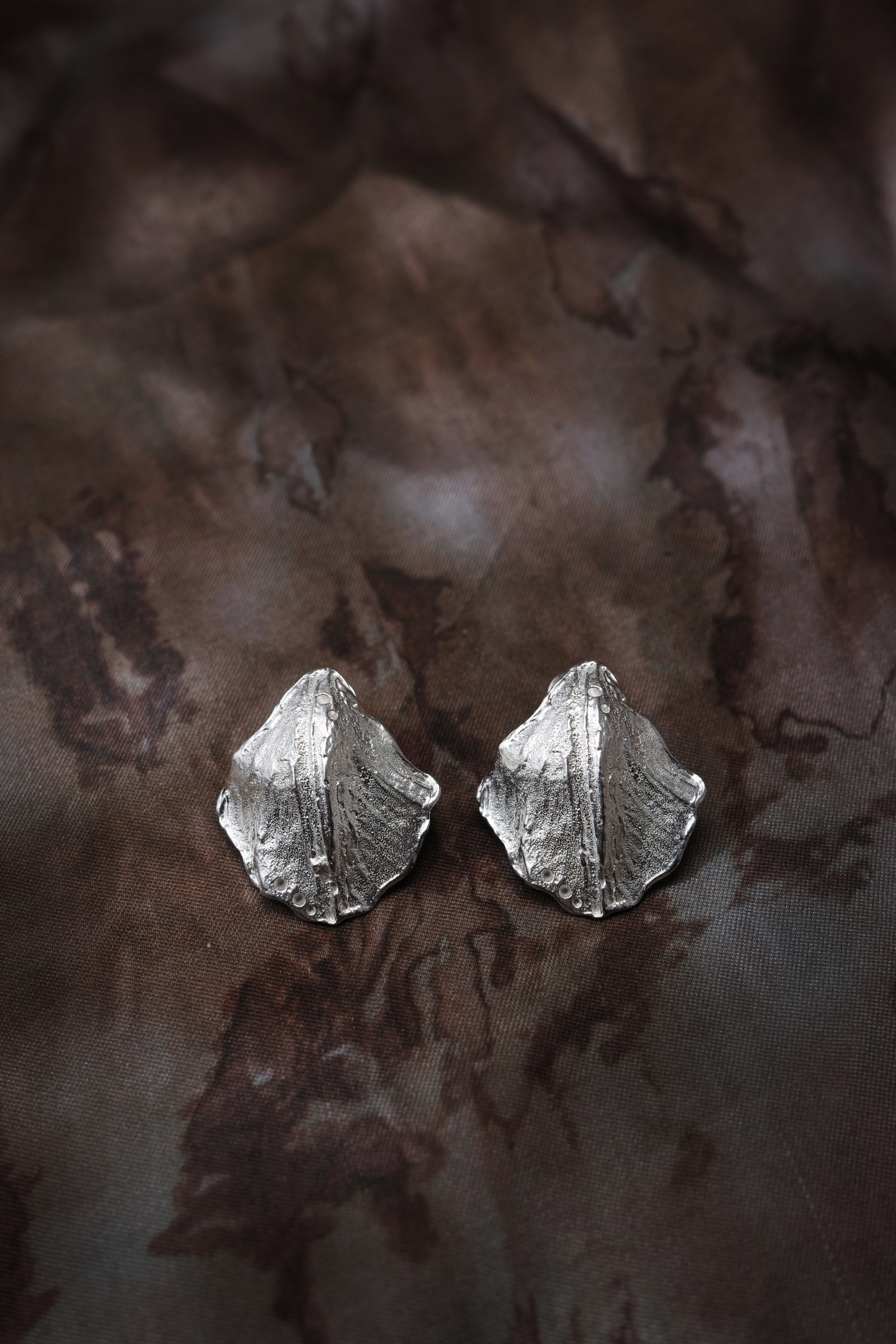 Hidden Shell Earrings